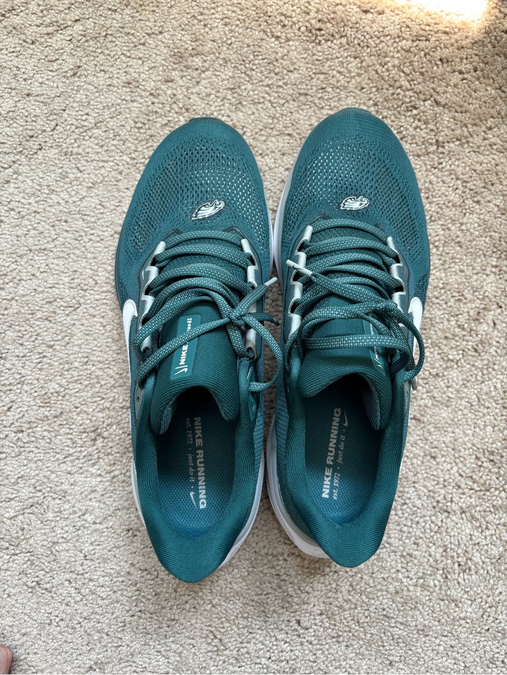 Nike Pegasus 41 Eagles Shoes - Picture 2 of 4
